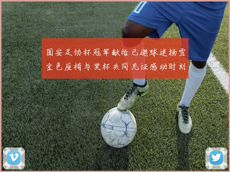 国安足协杯冠军献给已逝球迷杨雪金色座椅与奖杯共同见证感动时刻