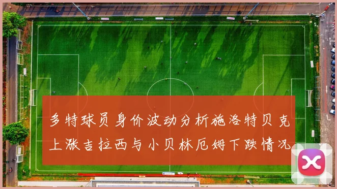 多特球员身价波动分析施洛特贝克上涨吉拉西与小贝林厄姆下跌情况解读