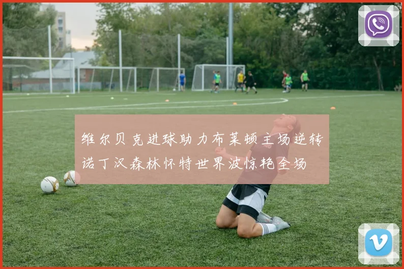 维尔贝克进球助力布莱顿主场逆转诺丁汉森林怀特世界波惊艳全场