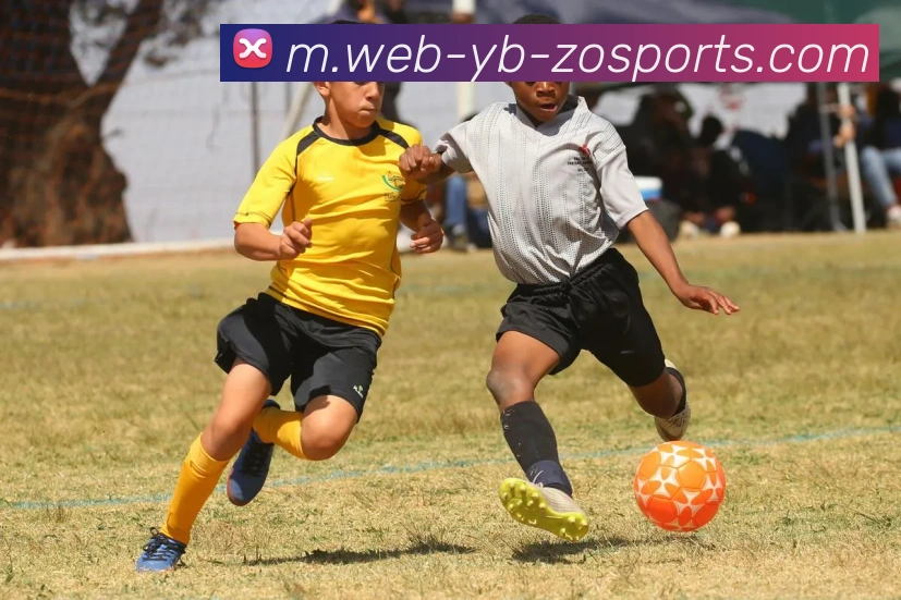 中欧体育平台生态图